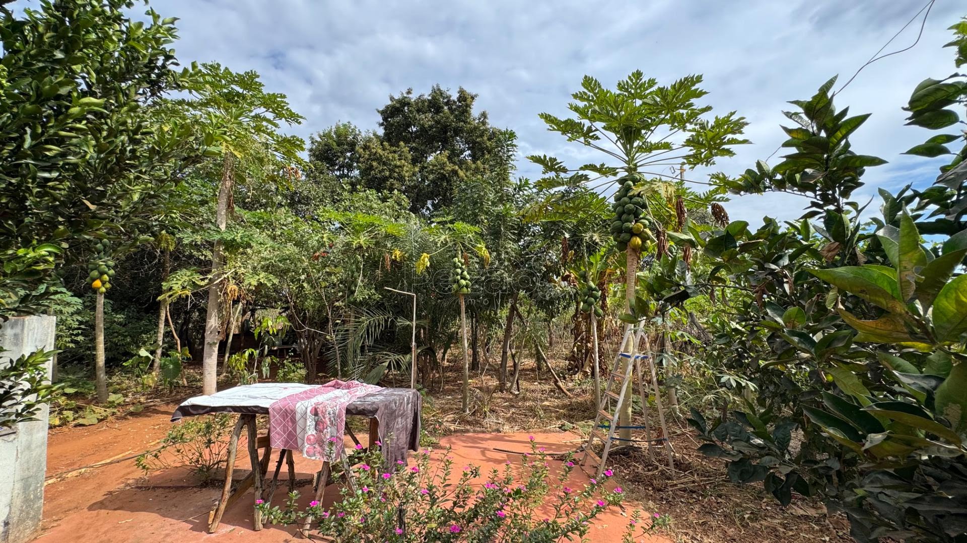Rural à venda com 5445m² de terreno no Zona Rural de Heitoraí, Heitoraí (GO) — foto 15 de 30