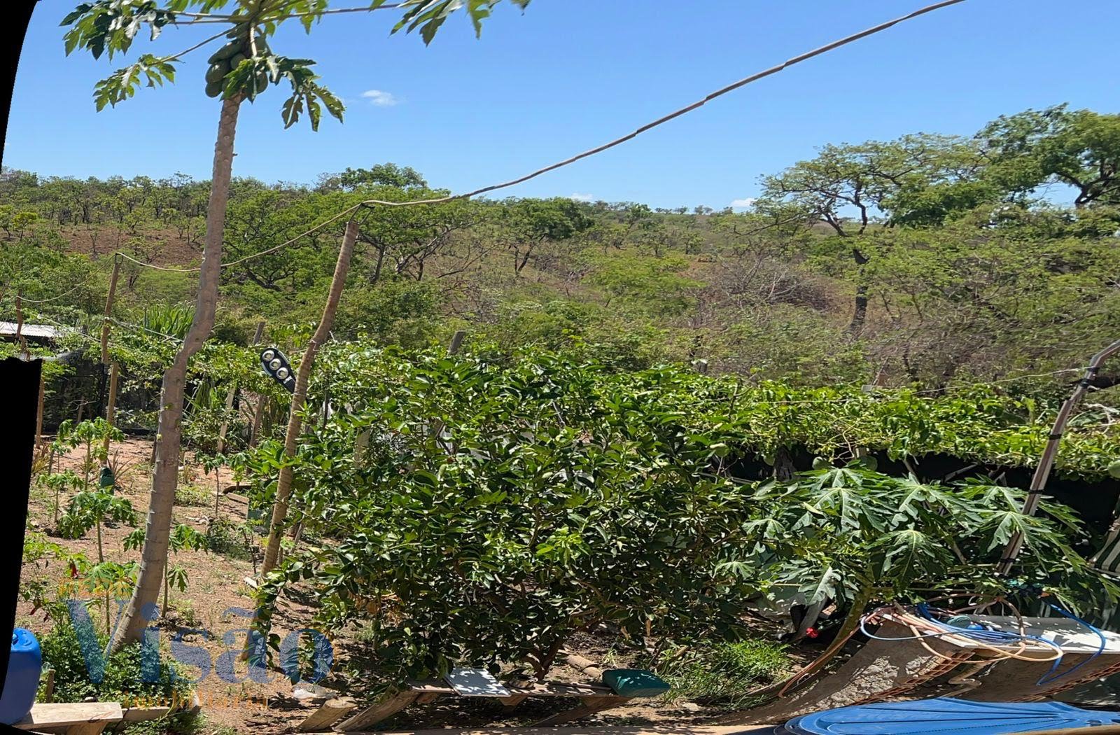 Rural à venda com 3000m² de terreno no Ponte Queimada, Paracatu (MG) — foto 7 de 13