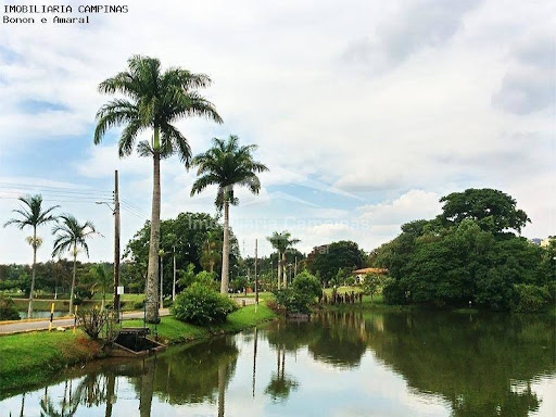 Casa de Condomínio, 4 quartos - Foto 41