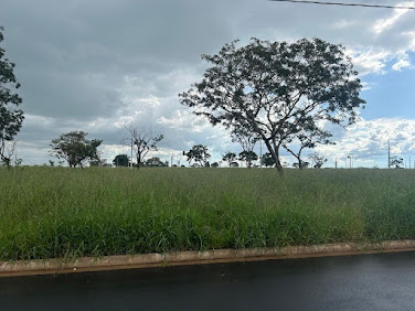 Lote/Terreno em Luizote IV  -  Uberlândia
