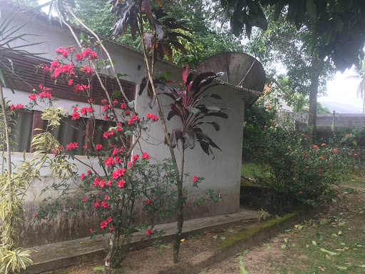 Sítio em Areia Branca  -  Macaé