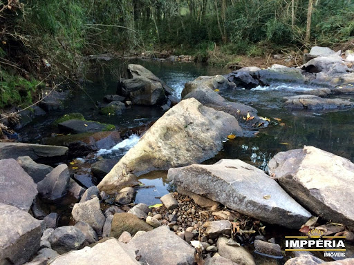 Foto 06