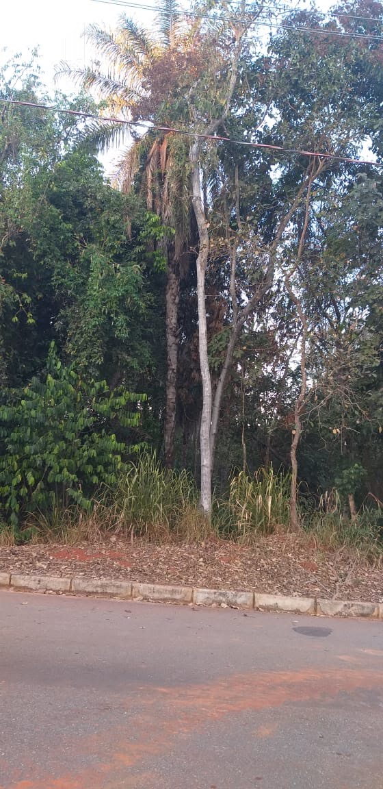Terreno à venda com 1250m² de terreno no Condomínio Jardim das Macaúbas, Funilândia (MG) — foto 9 de 13