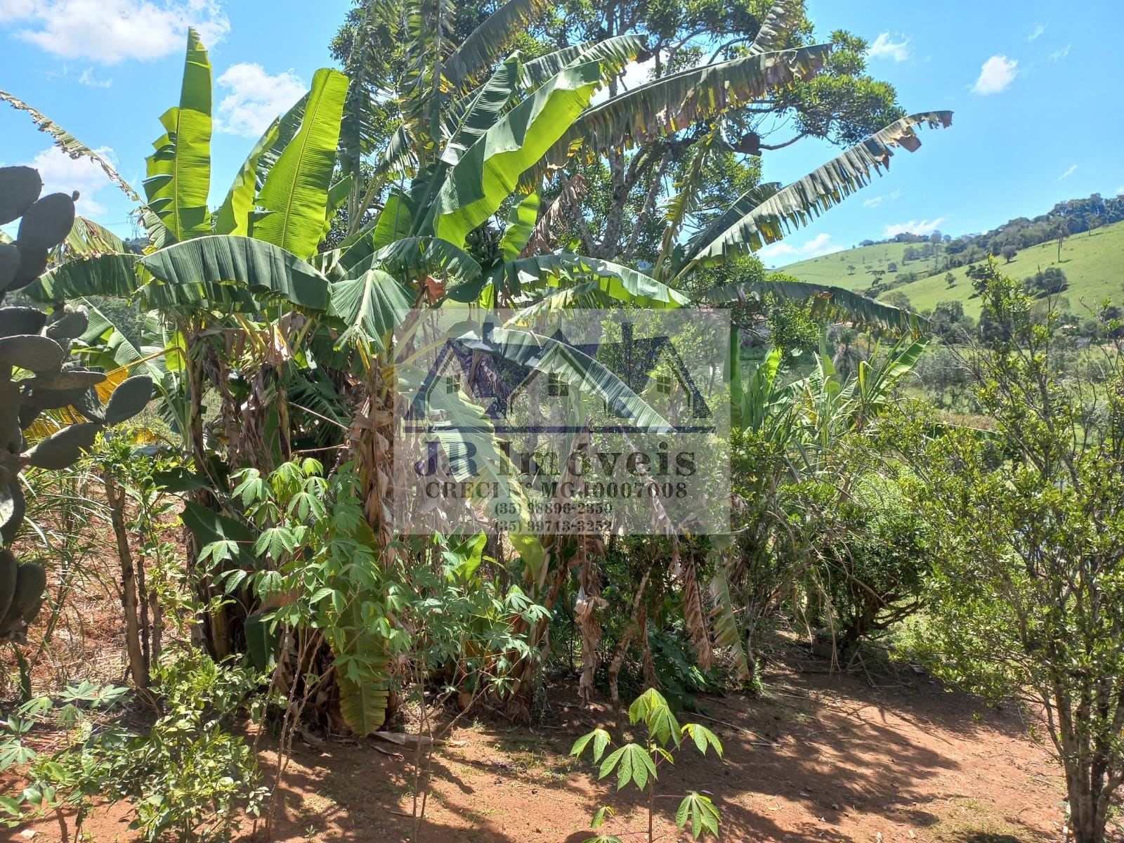 Rural à venda com 1500m² de terreno no Pinhal Redondo, Piranguinho (MG) — foto 15 de 30