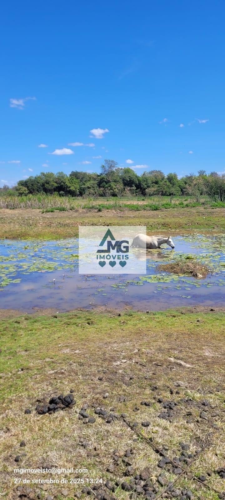 Rural à venda com 20000m² de terreno no Área Rural de Três Corações, Três Corações (MG) — foto 3 de 26