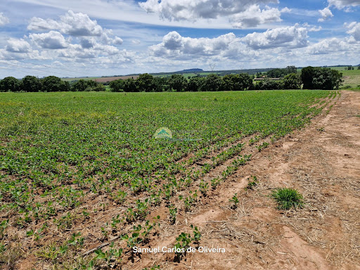 Sítio à venda em Casa Branca SP