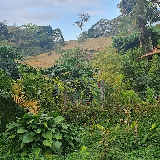 Sítio em Reserva Biológica da União  -  Rio das Ostras
