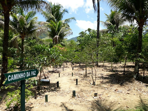 Sítio em Bicuda Pequena  -  Macaé
