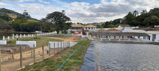 Fazenda em Bom Sucesso  -  Bom Sucesso