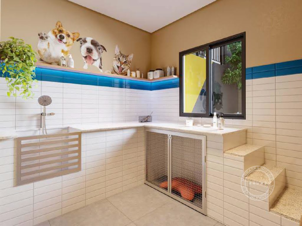 Pet care