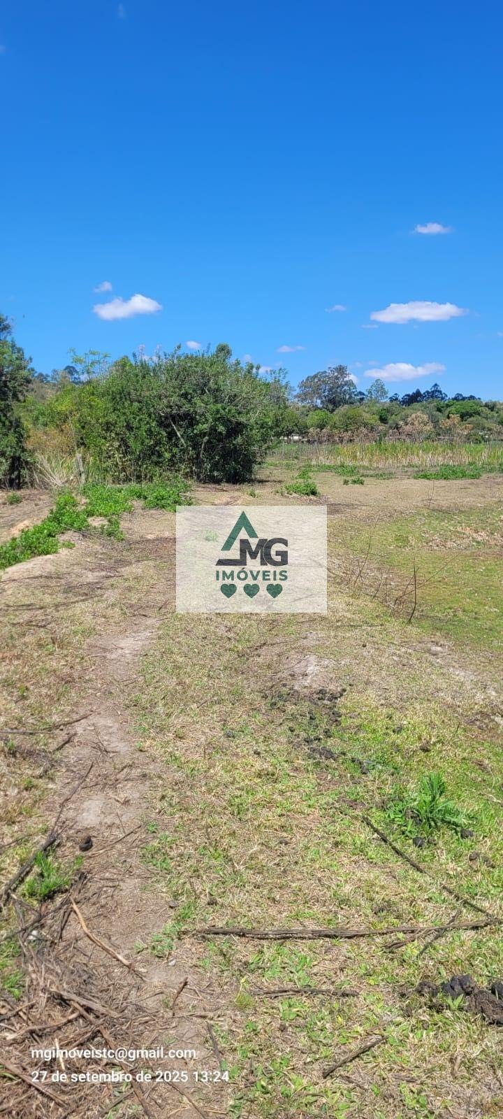 Rural à venda com 20000m² de terreno no Área Rural de Três Corações, Três Corações (MG) — foto 6 de 26