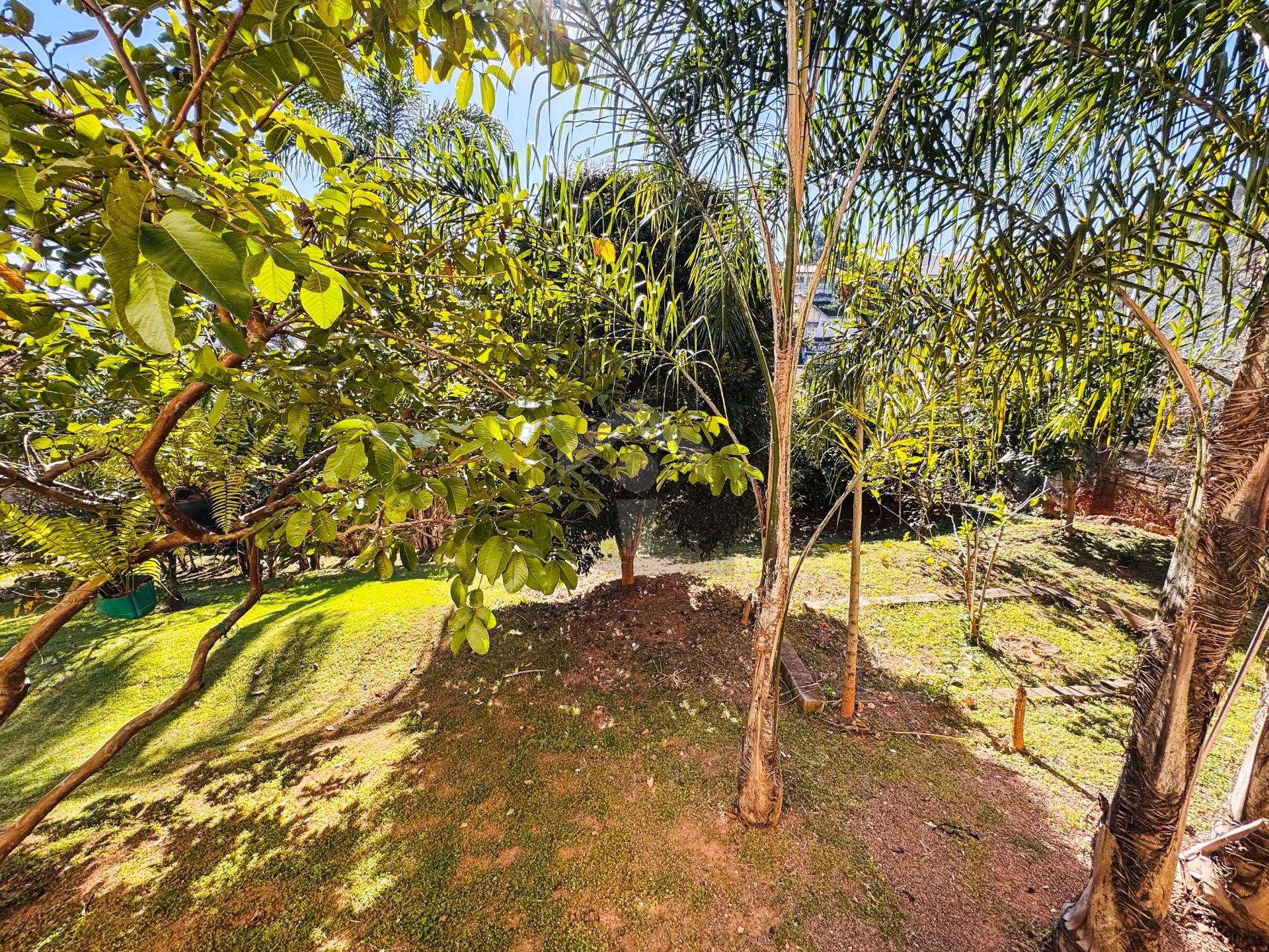 Casa, 4 quartos, 370 m² - Foto 37