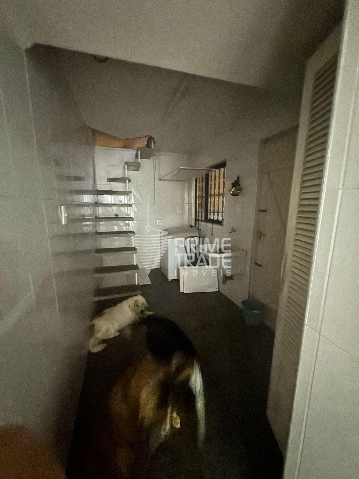 Casa à venda com 6 quartos, 1 suíte, 2 vagas e 177m² no Gonzaga, Santos (SP) — foto 14 de 17