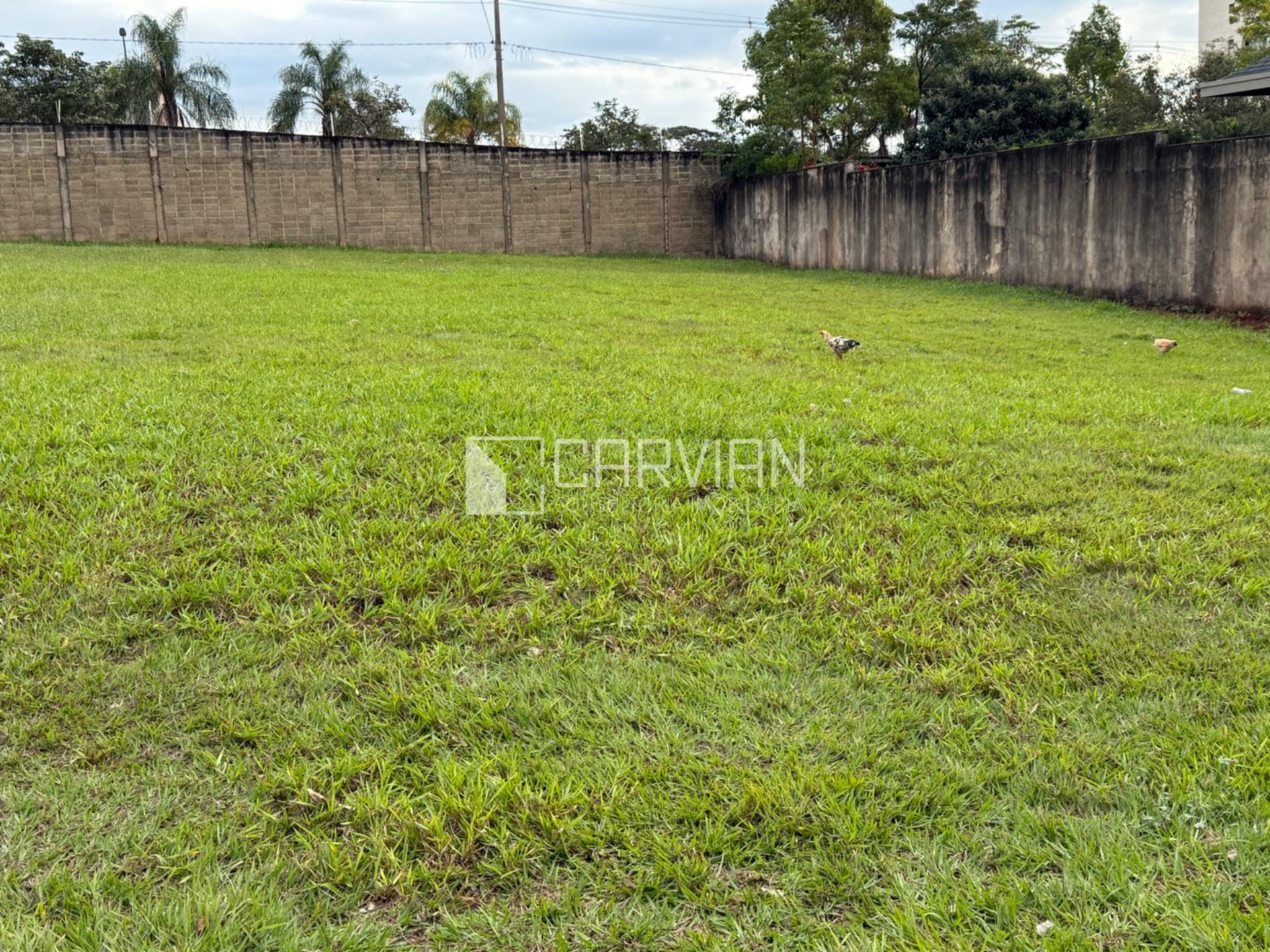 Terreno à venda com 1246m² de terreno no Royal Park, Ribeirão Preto (SP) — foto 4 de 8