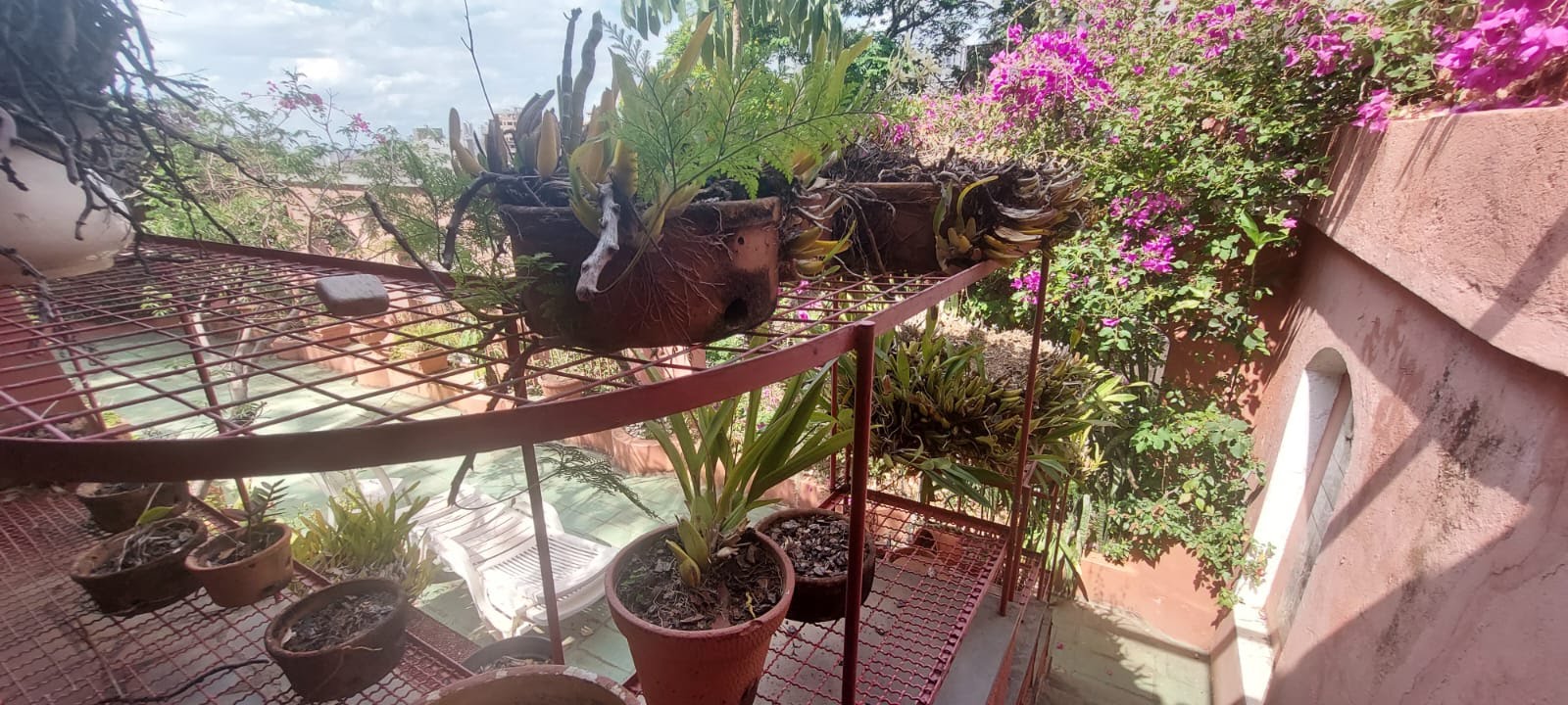 Casa à venda com 2 quartos, 2 suítes, 2 vagas e 278m² no São Bento, Belo Horizonte (MG) — foto 28 de 30