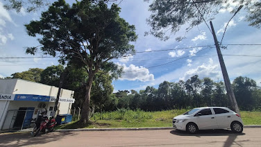 Lote / Terreno em centro  -  Piên