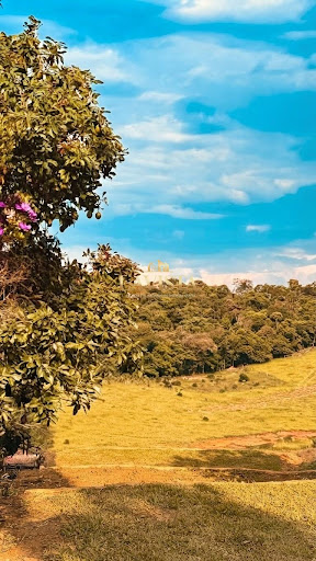 IMAGEM DO TERRENO