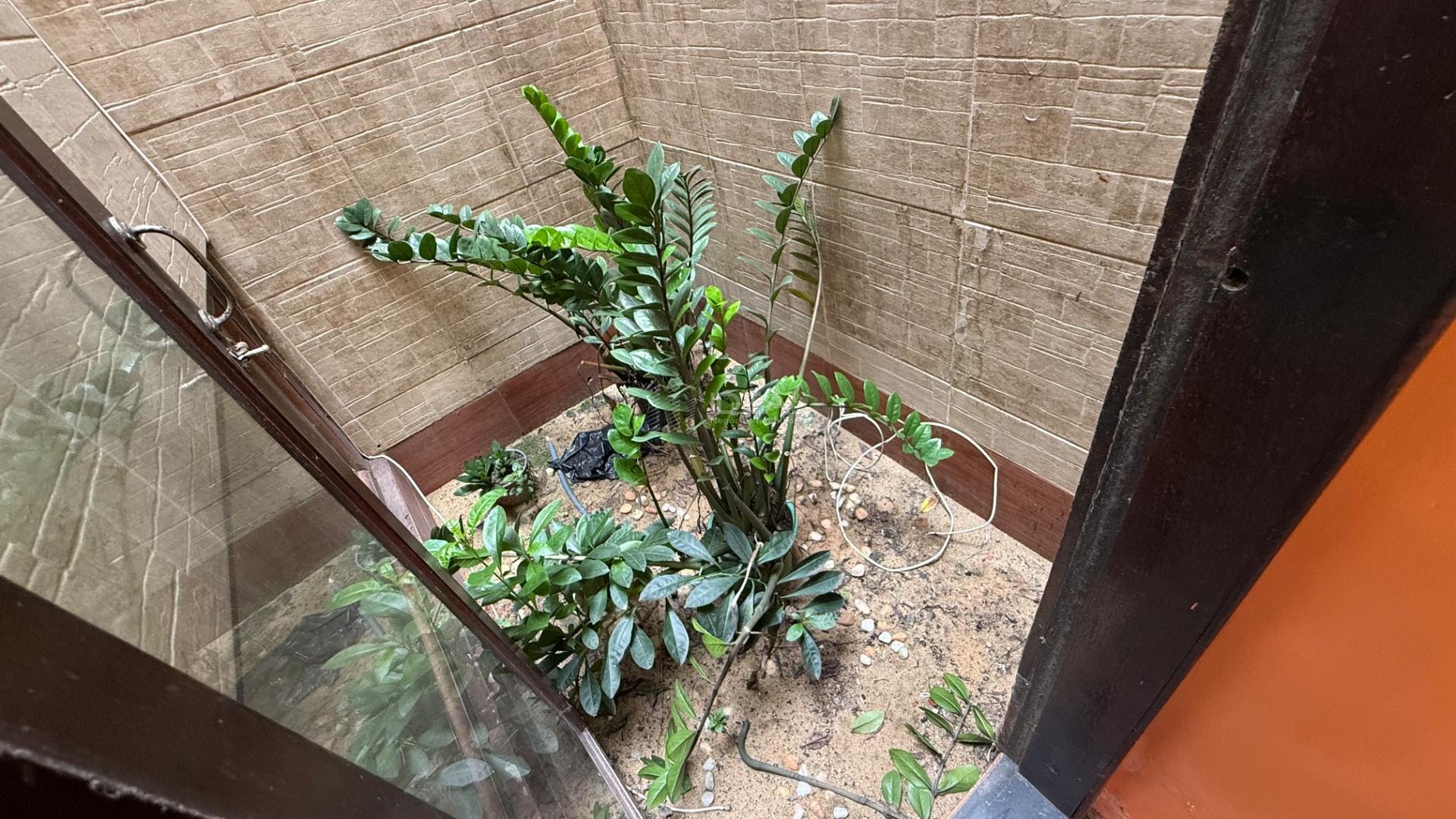 Casa à venda com 4 quartos, 1 suíte, 5 vagas e 230m² no Parque Varanda do Visconde, Campos dos Goytacazes (RJ) — foto 8 de 30