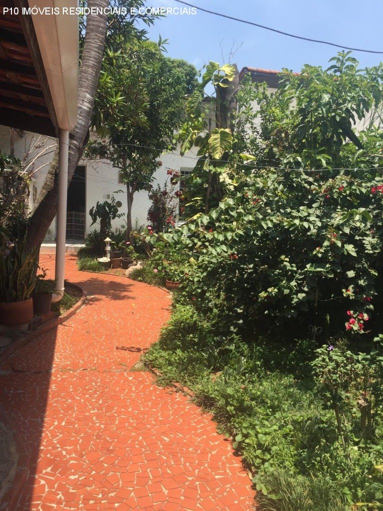 Foto 03