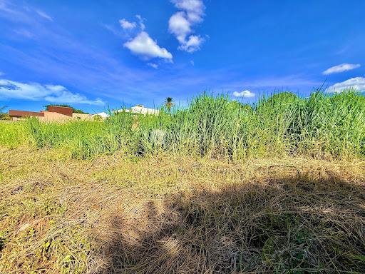 Lote / Terreno em Loteamento Jardins Florença  -  Catalão
