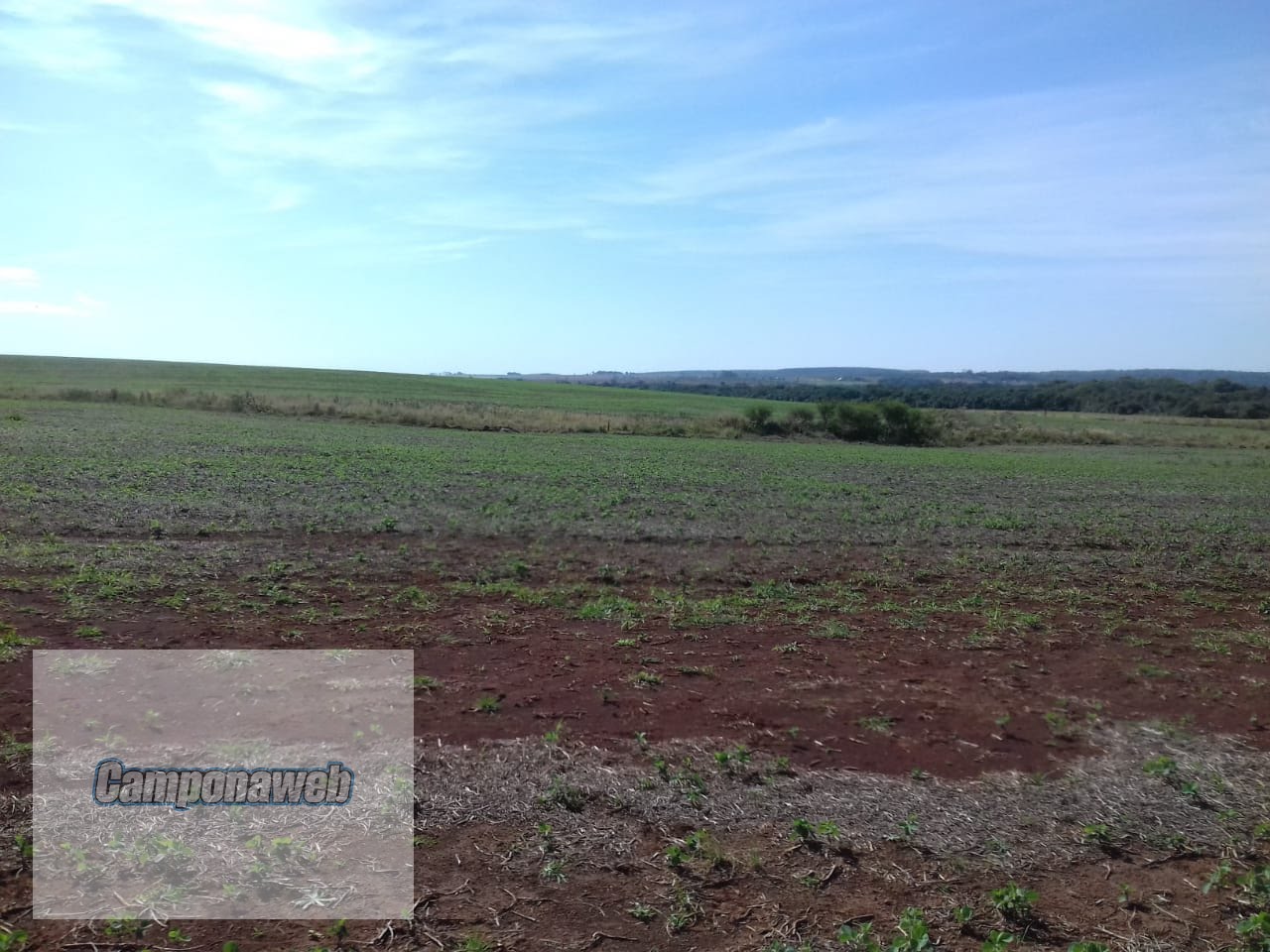 Área agricultável