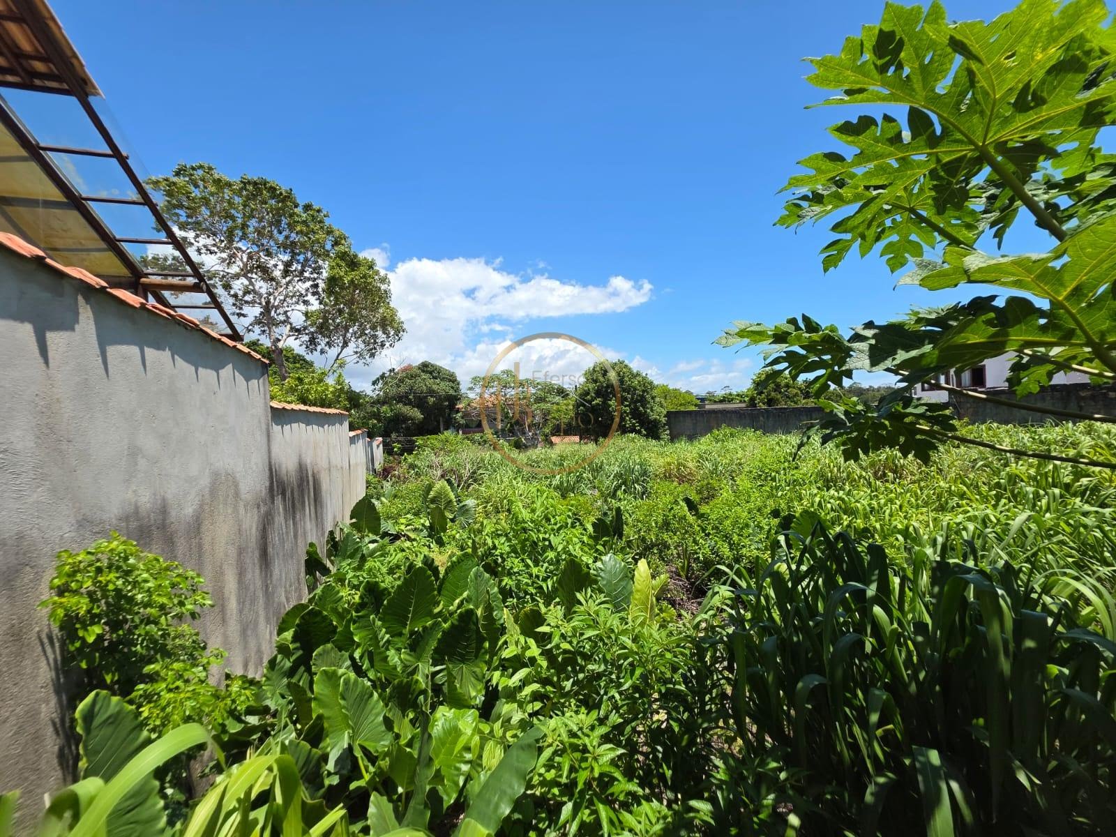 Terreno à venda com 600m² de terreno no Village II, Porto Seguro (BA) — foto 8 de 12