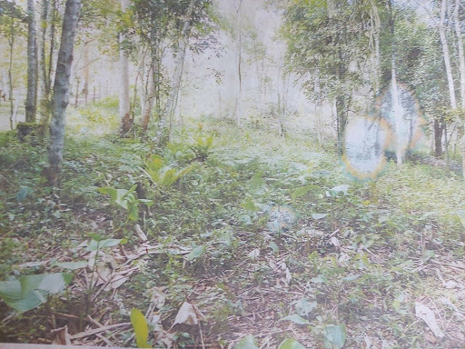 Opçao para corte no terreno, Seri Piscina.