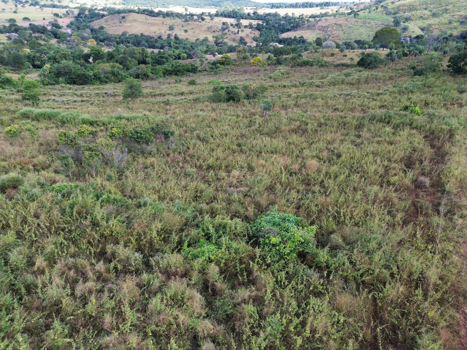 Rural à venda com 308355m² de terreno no Zona Rural de Heitoraí, Heitoraí (GO) — foto 3 de 29