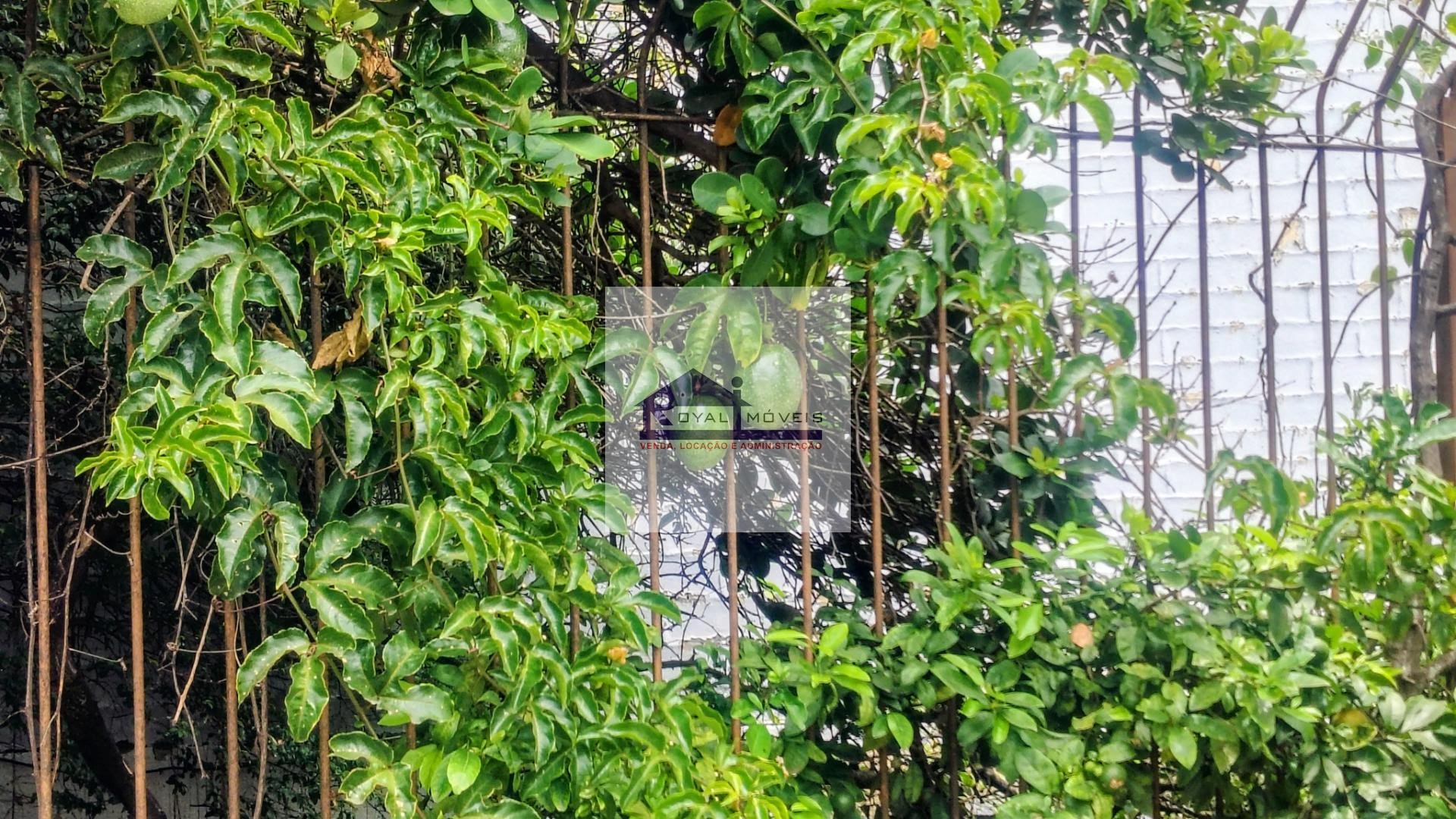 Casa à venda com 3 quartos, 1 suíte, 2 vagas e 280m² no Aclimação, São Paulo (SP) — foto 15 de 30