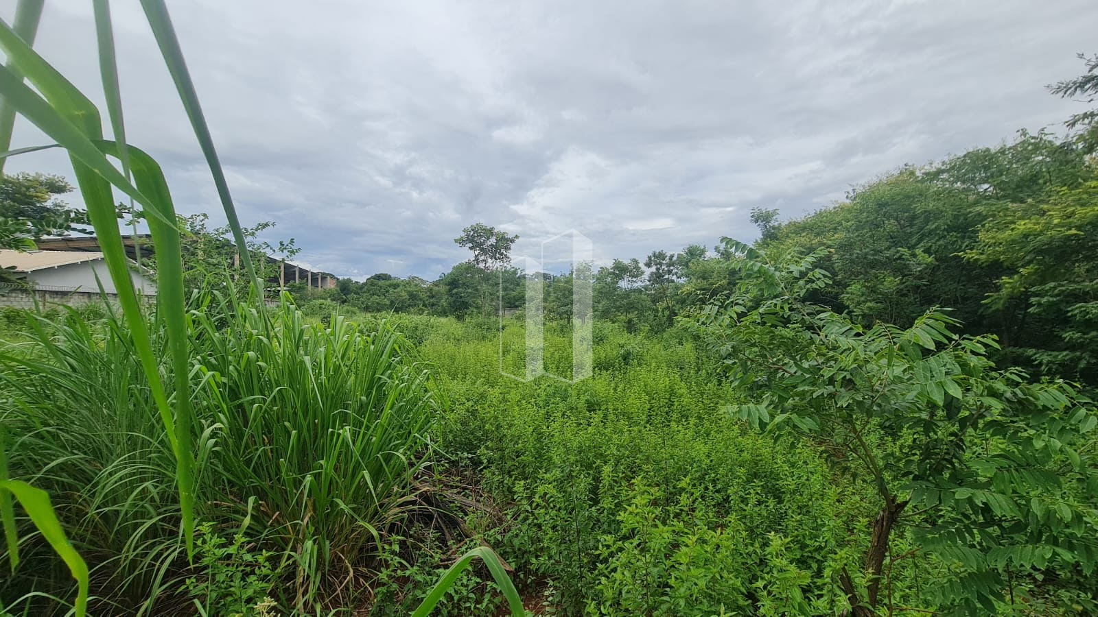 Terreno à venda com 5000m² de terreno no Village Casa Grande, Goiânia (GO) — foto 4 de 19