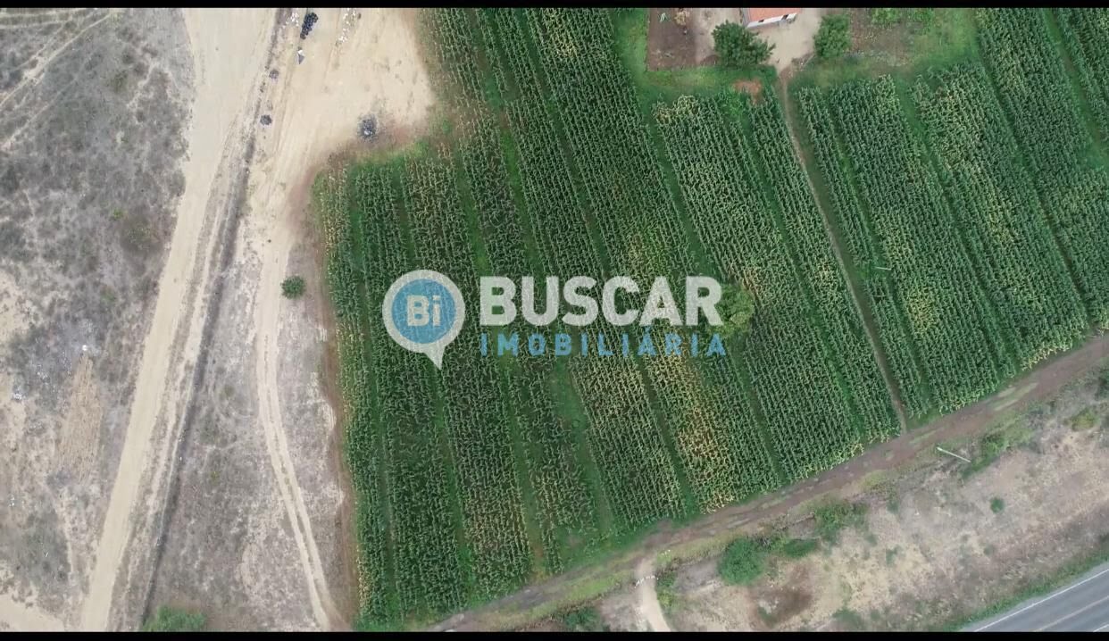 Rural à venda com 1610000m² de terreno no Centro, Iaçu (BA) — foto 14 de 17