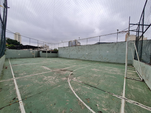 Apartamento em Cambuci  -  São Paulo