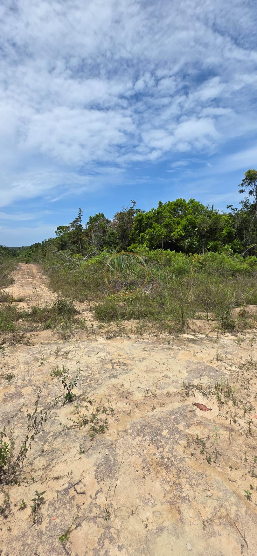 Terreno à venda com 1800m² de terreno no Praia dos Lenções, Santa Cruz Cabrália (BA) — foto 9 de 16