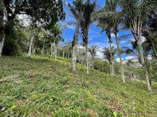 Foto 08