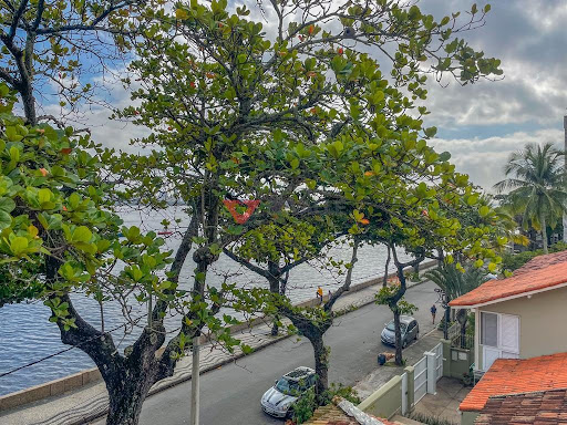 Casa na Urca RJ à Venda: 600m², 4 quartos, 4 vagas 
