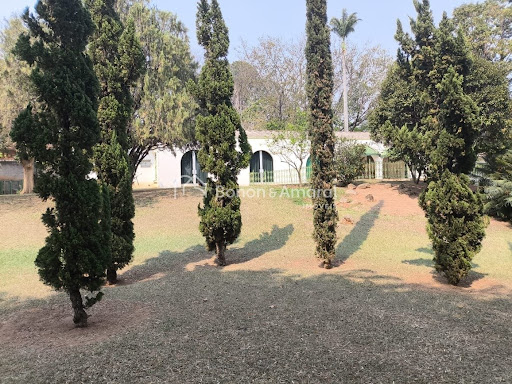 Casa, 3 quartos, 438 m² - Foto 5