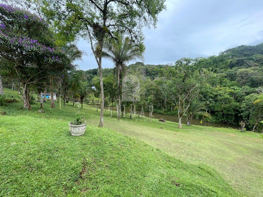 Foto 02