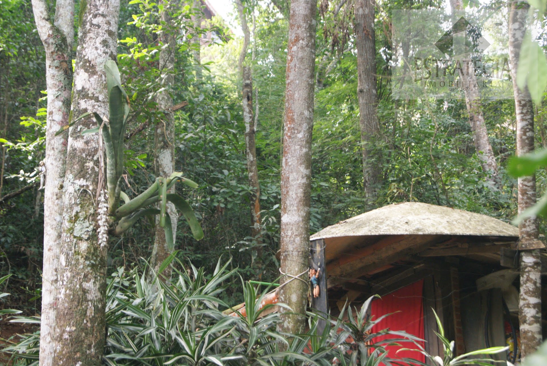 Casa à venda com 5 quartos, 2 suítes, 10 vagas e 235m² no Itaipava, Petrópolis (RJ) — foto 17 de 30