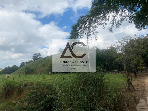 Chácara em Zona Rural  -  Ponte Nova