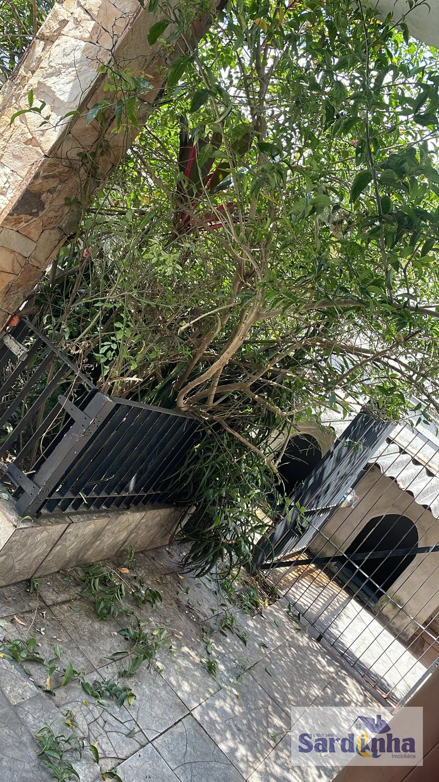 Apartamento à venda com 3 quartos, 1 suíte, 3 vagas e 274m² no Jardim Colombo, São Paulo (SP) — foto 18 de 20