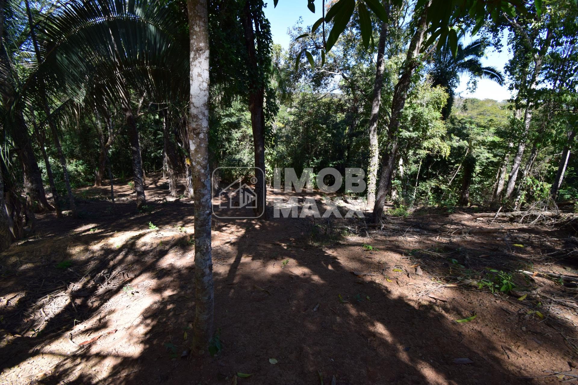 Chácara, 5 quartos, 5 hectares - Foto 32