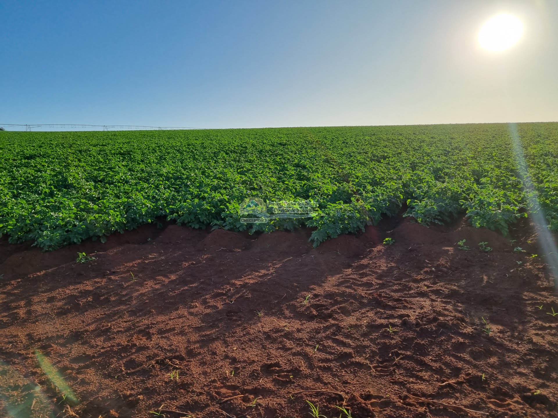 Fazenda em Casa Branca SP