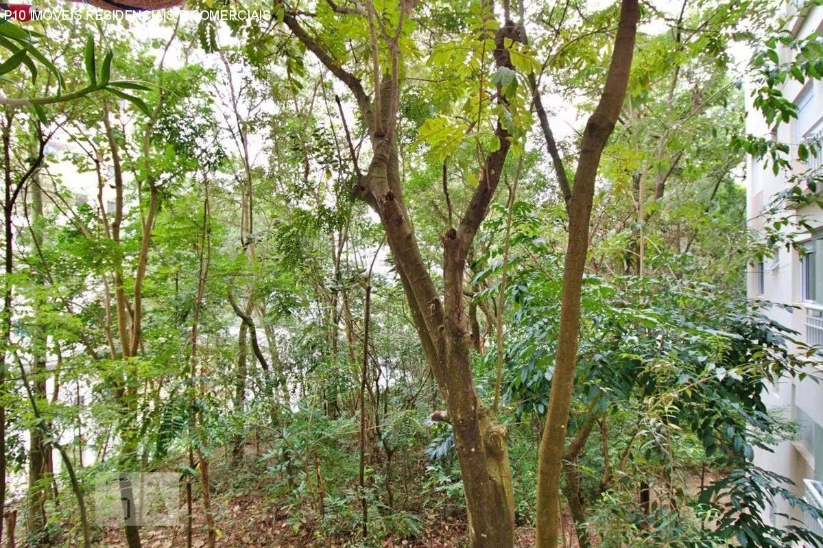 Foto 04