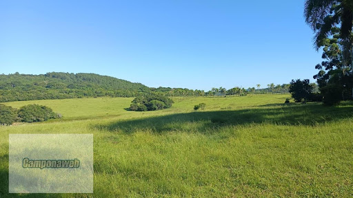 Campo de Pecuária RS