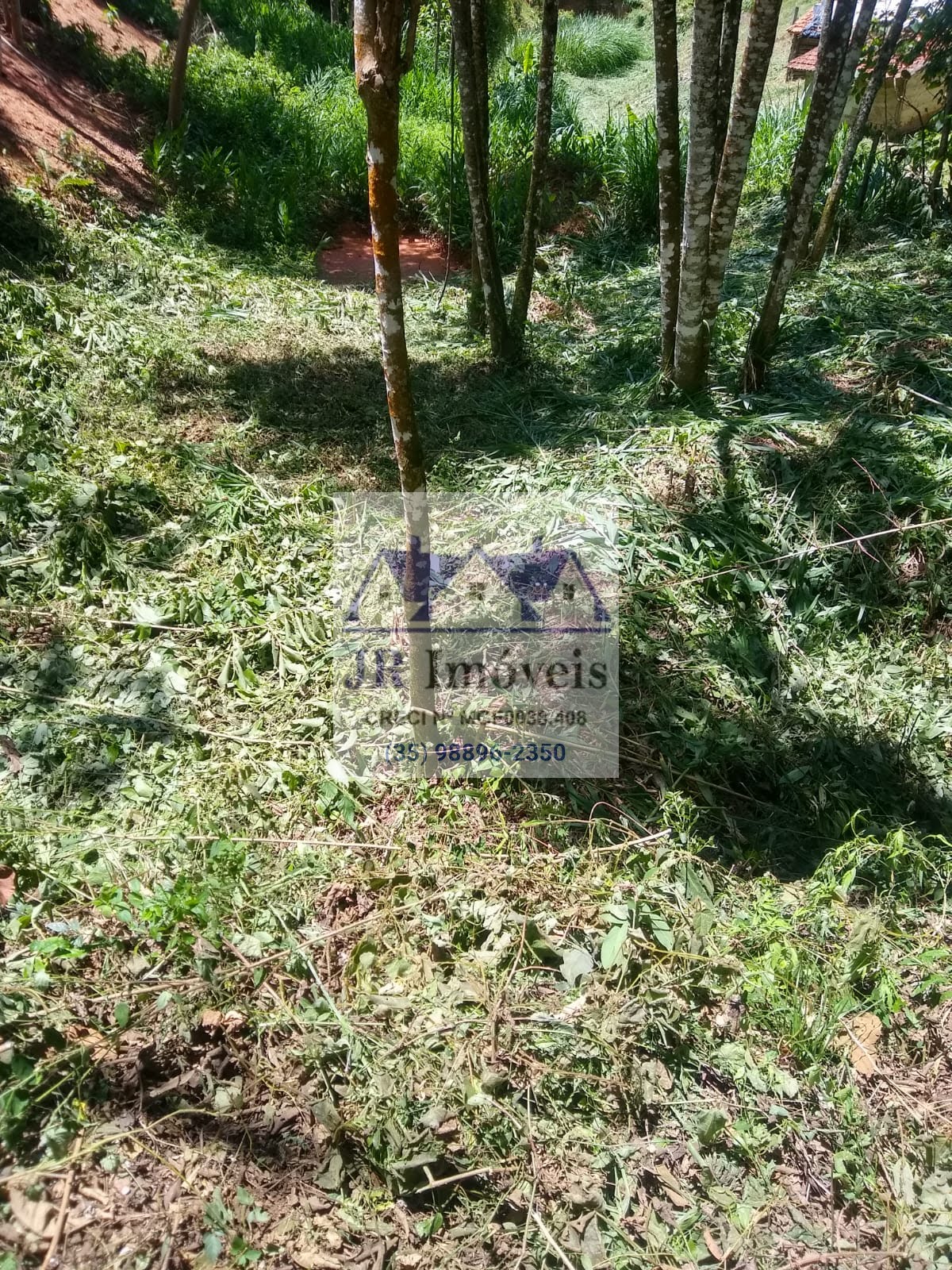 Terreno à venda com 3600m² de terreno no Taquaral, Delfim Moreira (MG) — foto 14 de 18