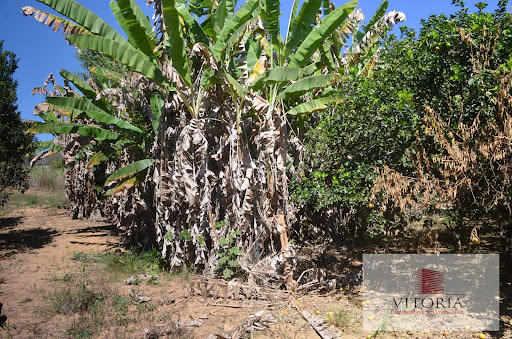 Fazenda em Santo Antônio Descoberto  -  Santo Antônio do Descoberto