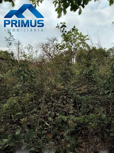 Terreno LOTE em Jardim Serra Azul  -  Mateus Leme