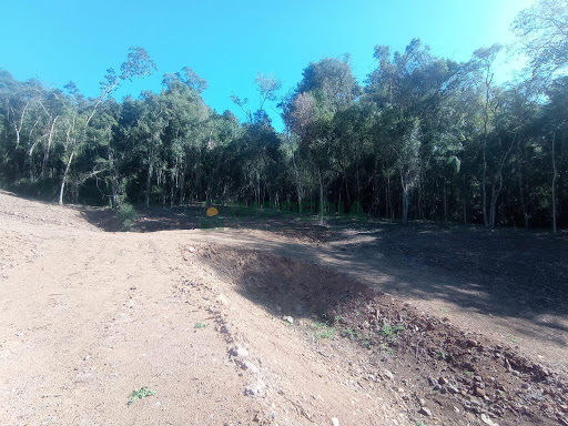 Sítio / Chácara SEM CASA  em  Carlos Barbosa / RS - Distrito de Arco Verde