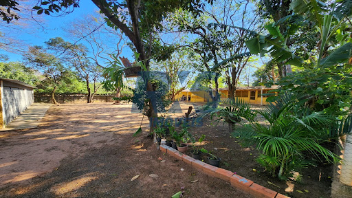 Foto 08
