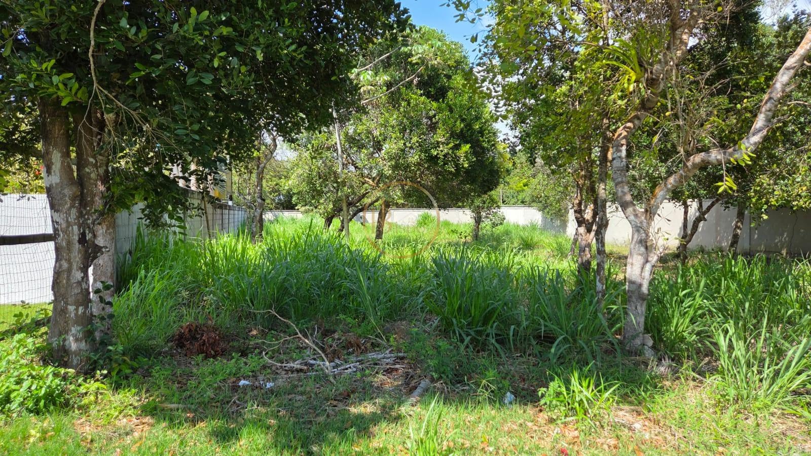 Terreno à venda com 918m² de terreno no Outeiro São Francisco, Porto Seguro (BA) — foto 3 de 4